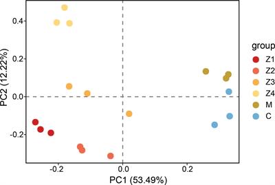 Comparative transcriptome analysis reveals the growth and development in larval stages of the swimming crab Portunus trituberculatus